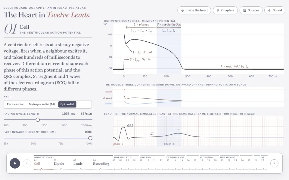The Heart in Twelve Leads: the Cell chapter with an action potential trace and sliders for pacing and ion currents.